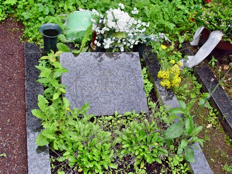 friedhof