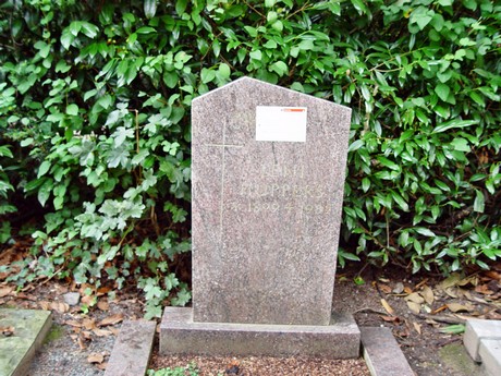 friedhof
