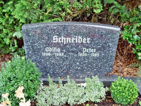 friedhof
