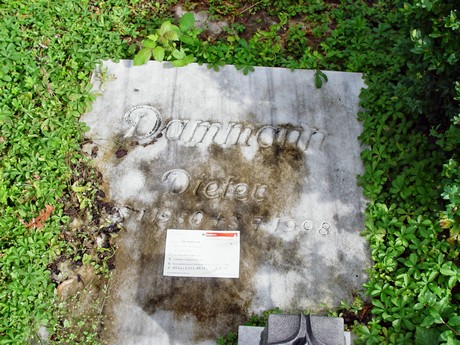 friedhof