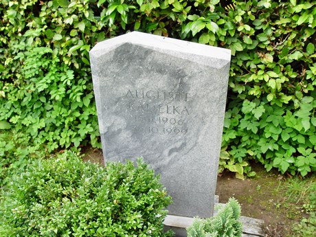 friedhof