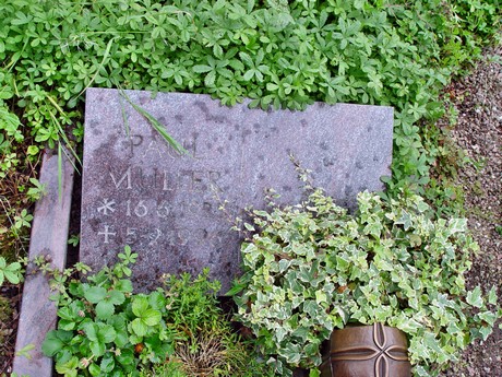 friedhof
