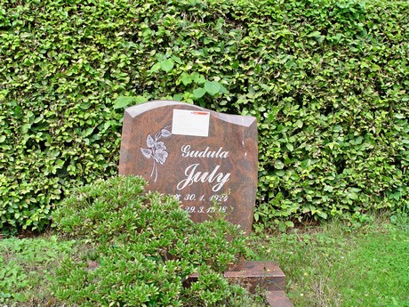 friedhof