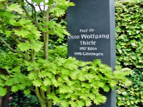 friedhof