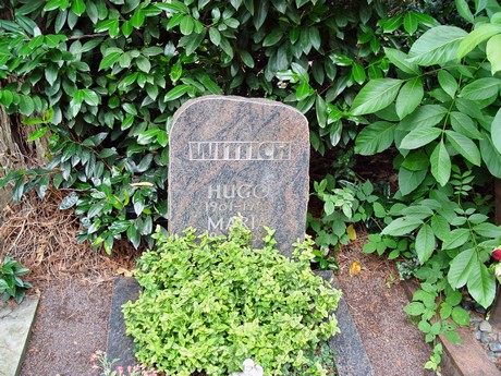 friedhof