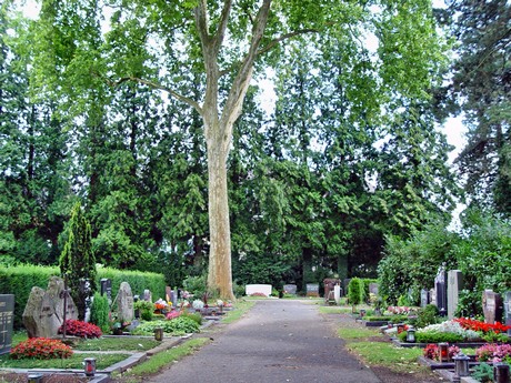 friedhof