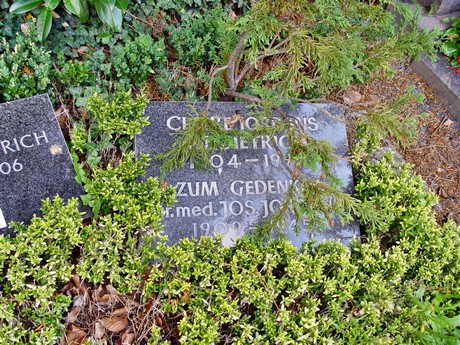 friedhof