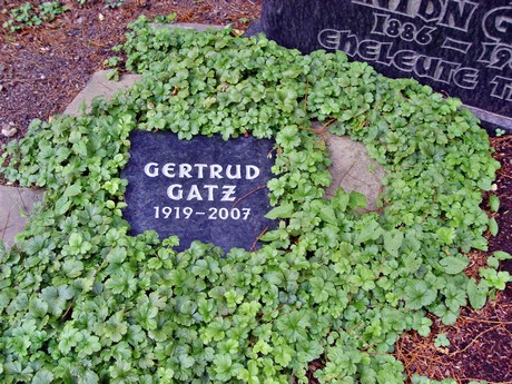 friedhof