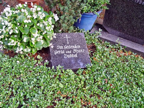 friedhof