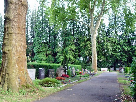 friedhof