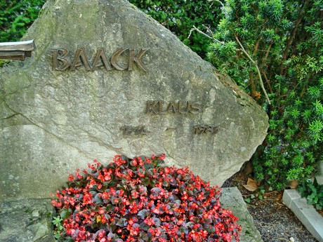 friedhof