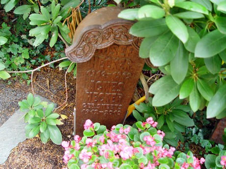 friedhof