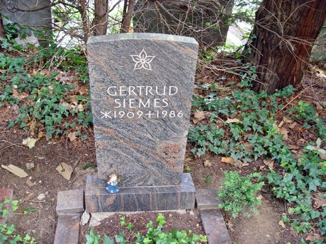 friedhof