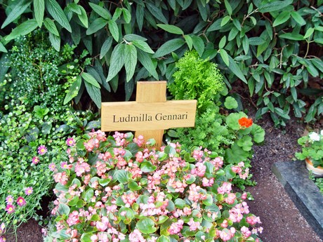 friedhof