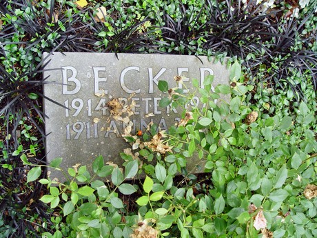 friedhof