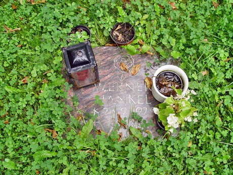 friedhof