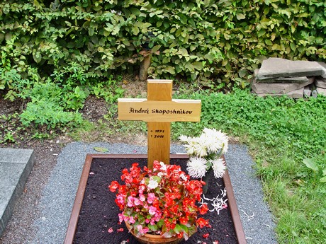 friedhof