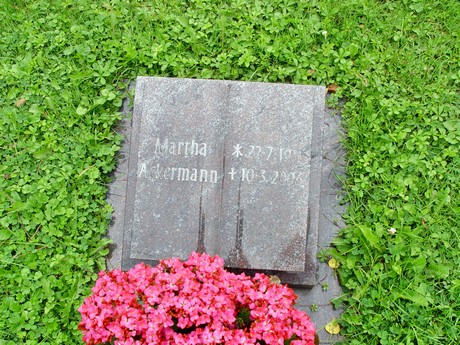 friedhof