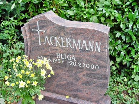 friedhof