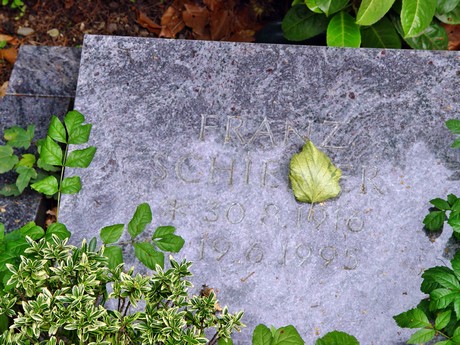 friedhof