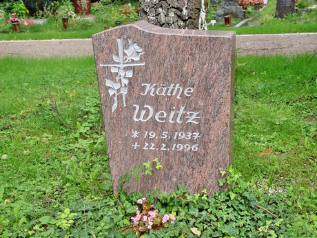 friedhof
