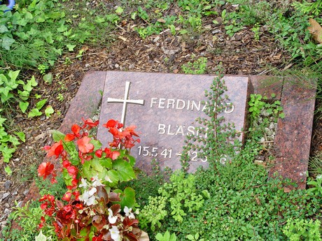 friedhof