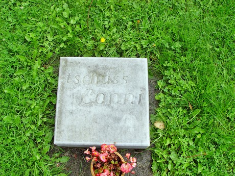 friedhof
