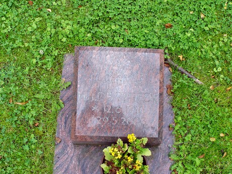 friedhof
