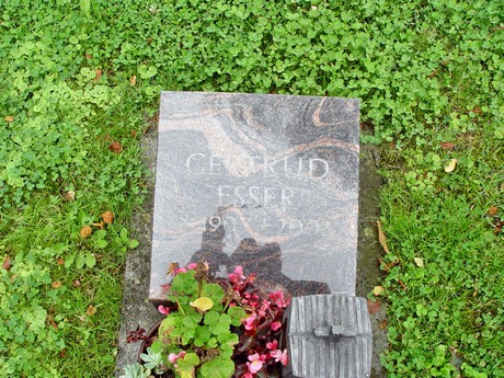 friedhof