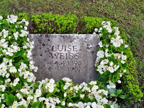 friedhof