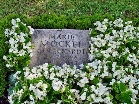 friedhof