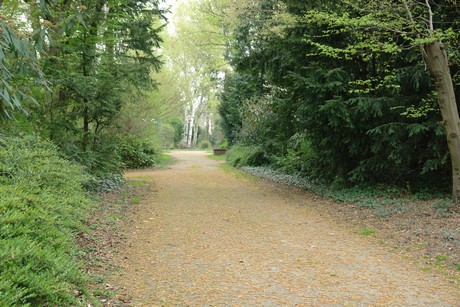 kalker-friedhof