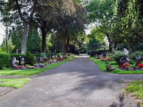 friedhof