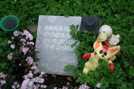 friedhof