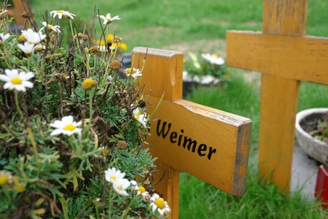 friedhof