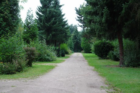 lehmbacher