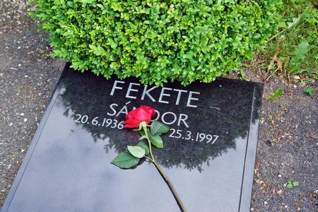 friedhof