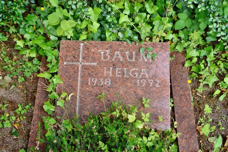 friedhof