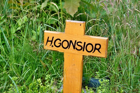 friedhof