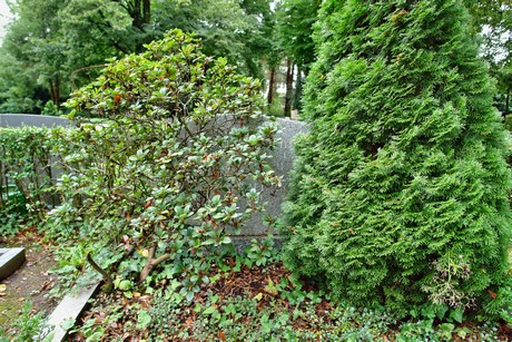friedhof-loevenich