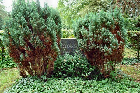 friedhof-loevenich