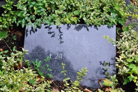 friedhof-loevenich