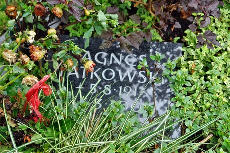 friedhof-loevenich