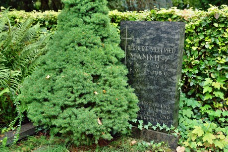friedhof-loevenich