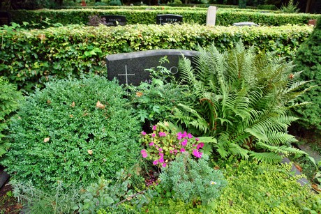friedhof-loevenich