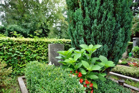 friedhof-loevenich