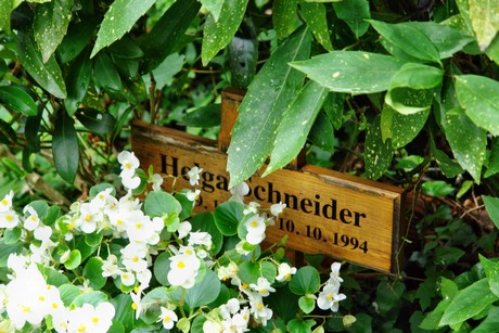 friedhof-loevenich