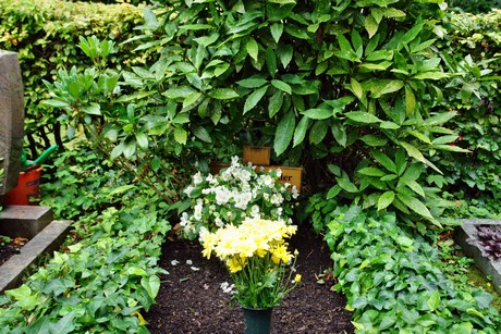 friedhof-loevenich