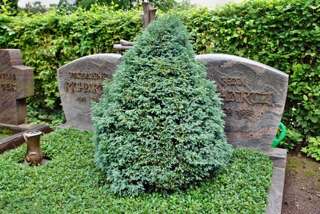 friedhof-loevenich