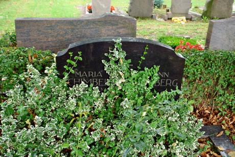 friedhof-loevenich